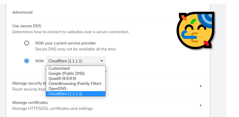 Secure DNS Working